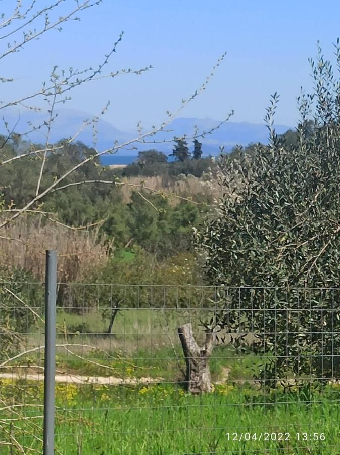 Corfu Oasis Studio Neochorakion Exterior foto